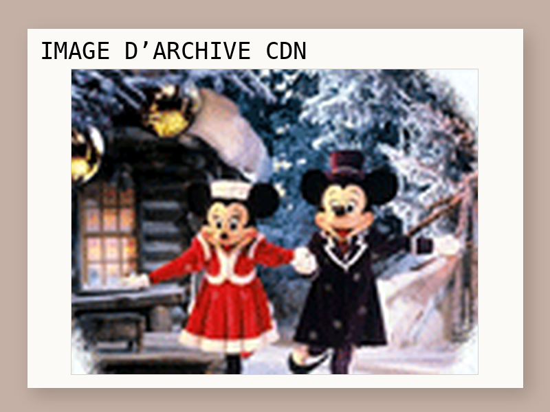 Un week-end VIP à Disneyland pour 4 personnes de 1.500 €.