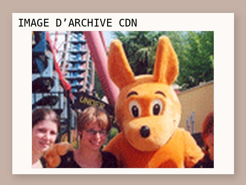 Un week-end pour 4 personnes dans un parc Walibi d’une valeur de 850 euros avec Cartoon network.