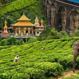1 lot de 2 billets A/R vers les Maldives ou le Sri Lanka (1.616€)