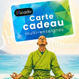 1 carte cadeau illicado d’une valeur de 250 €