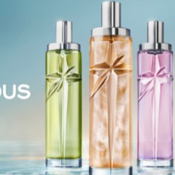 1 collection Starlicious composée de trois eaux gourmandes distinctives (177€)