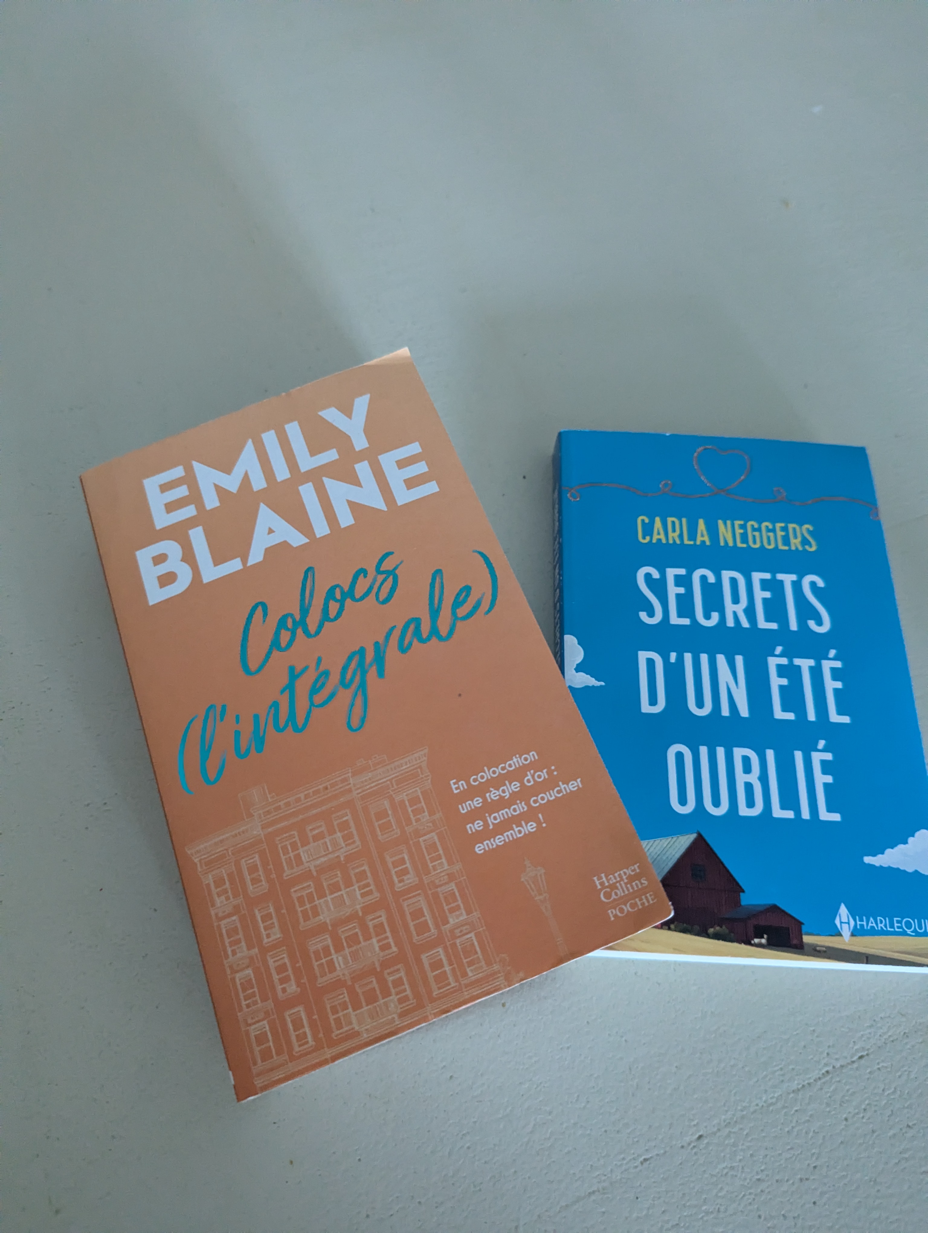 1 lot de 2 livres.
