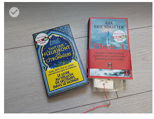 1 lot de 2 livres